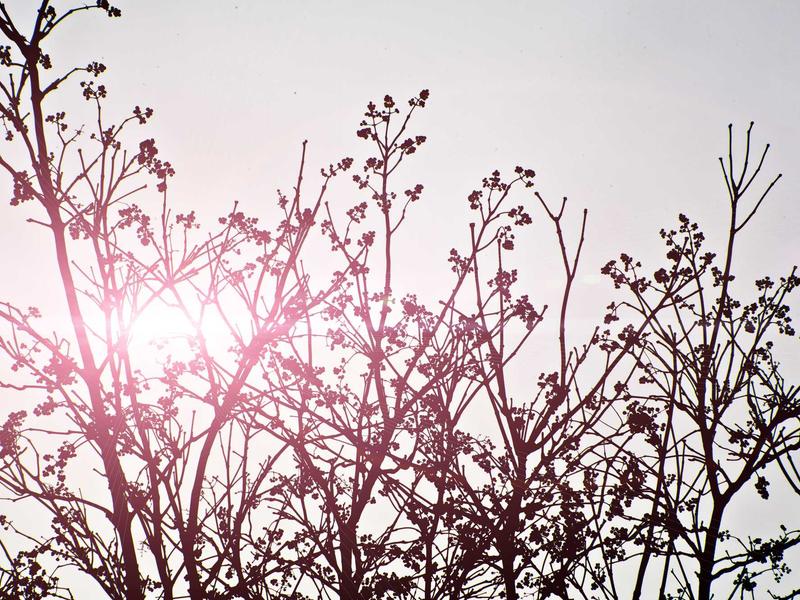 sudoku error checking